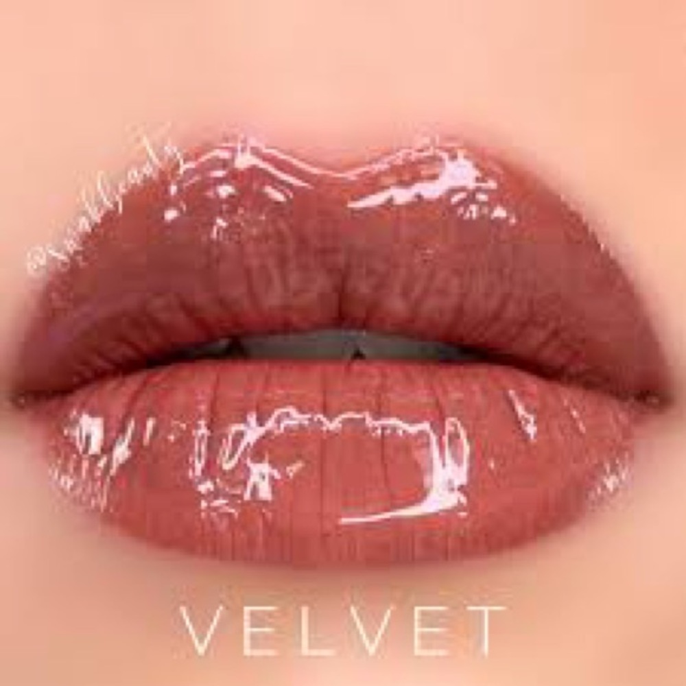 Velvet LipSense! I only have 1 !! A neutral brown-pink with a matte finish.